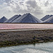 salt - Bonaire