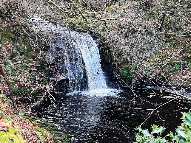 The Altyre Burn waterfall at Squirrel Wood