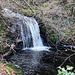 The Altyre Burn waterfall at Squirrel Wood