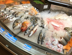 Theke bei Fisch Meyer