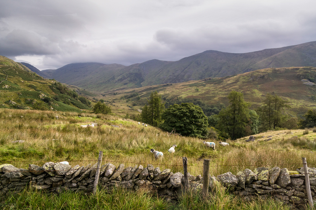 Troutbeck