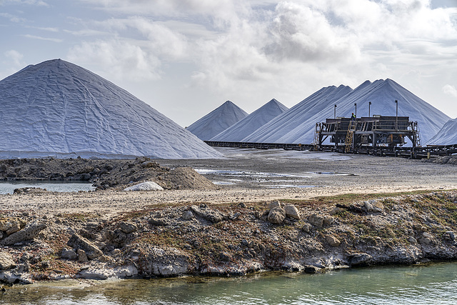 salt - Bonaire