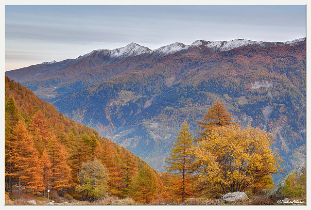 Golden autum at Grange della valle