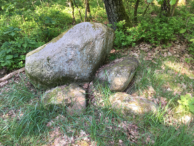 am Flidderberggipfel (108 m)