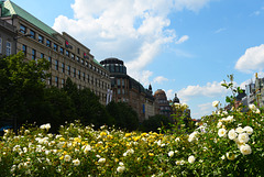Many old walls lining the streets of Wenceslas square