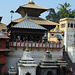 Kathmandu, Pagoda of Shree Pashupatinath Temple