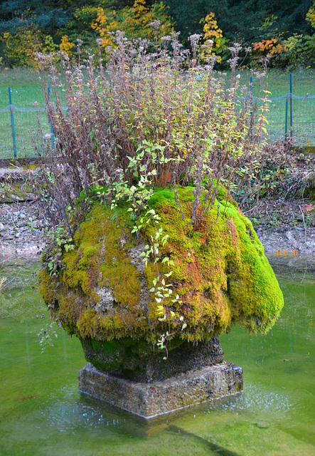 Fontaine au bassin de Saou (26)