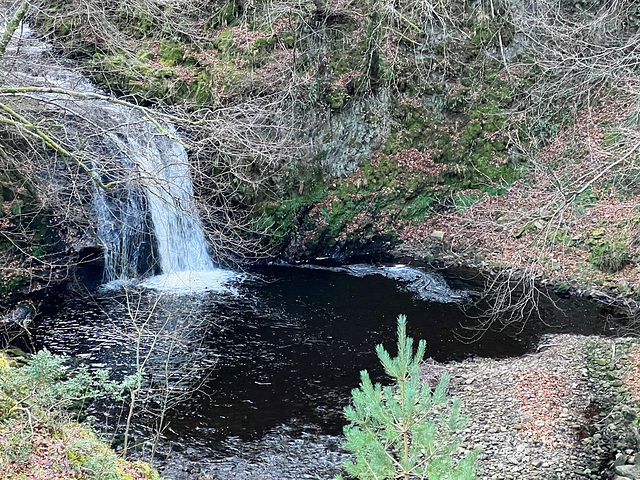 The Altyre Burn waterfall at Squirrel Wood