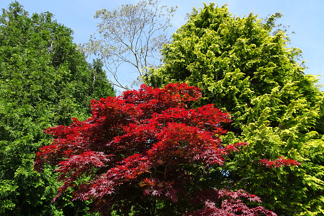 Red, Blue And Green