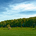 20250514_Blankenburg