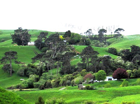 Farm In The Hills.