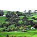 Farm In The Hills.