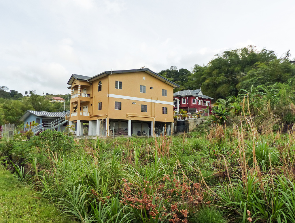 Our last morning on island of Trinidad