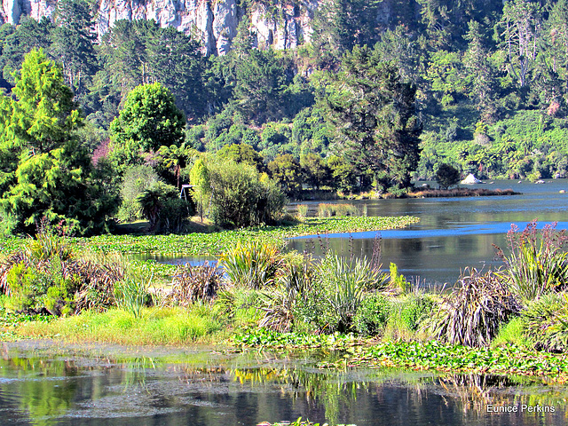 Quiet Waters