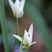 DSCF3778