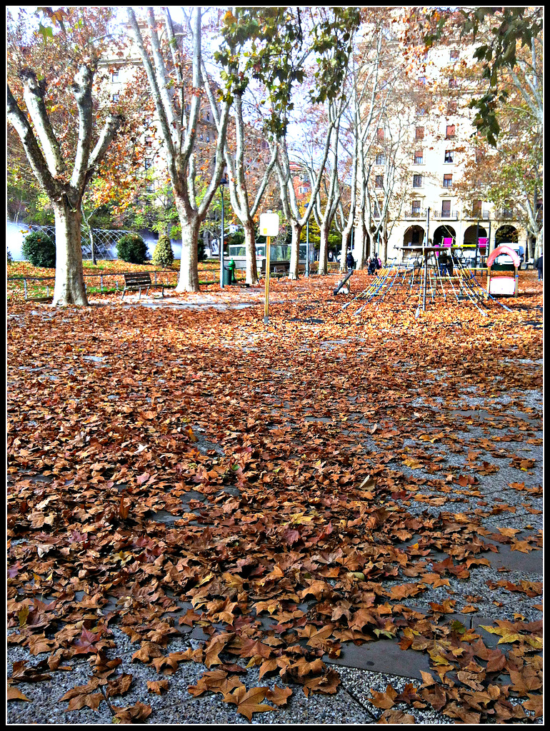 Otoño en la ciudad.