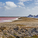 salt flats and mountains