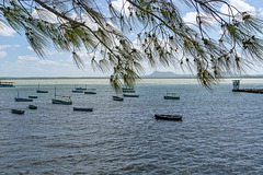 Gibara fishing boats