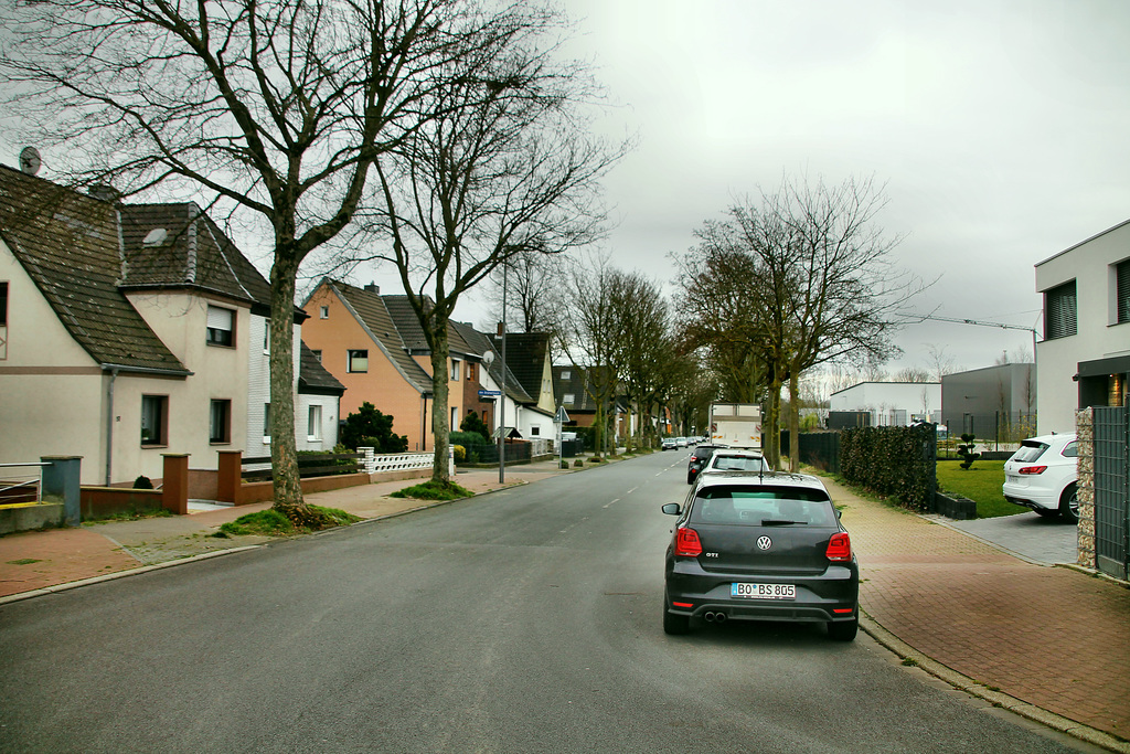 Dietrich-Benking-Straße (Bochum-Hiltrop) / 22.02.2020