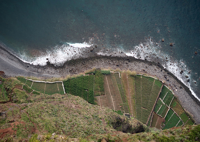 Looking down at neat coastal farmland