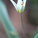 DSCF3780