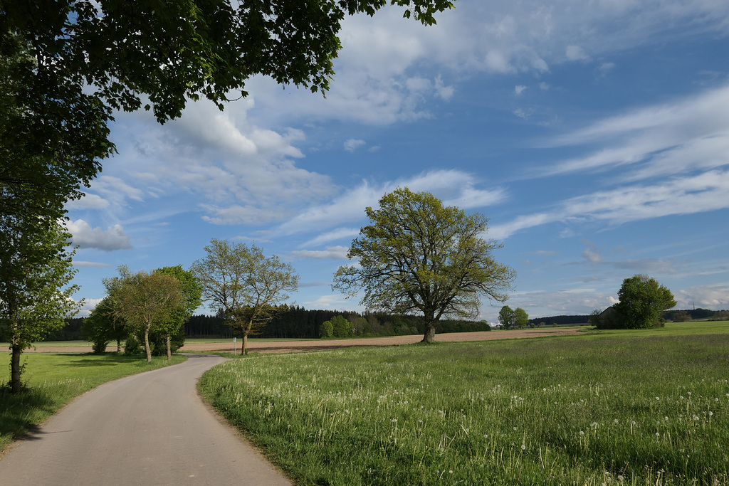 green landscape, blue sky / grüne Landschaft, blauer Himmel