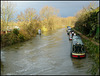 Thames north of Osney Bridge