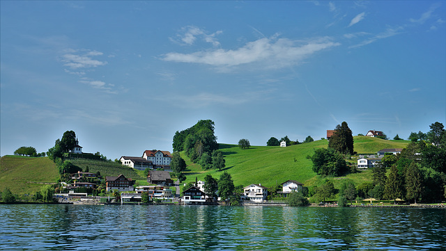 Weggis / 20.05.22  /  Hier ist ein Spaziergang im Grünen möglich!