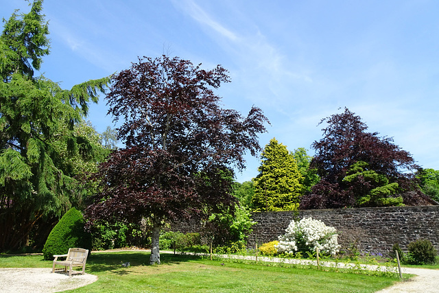 Summer Colours In Hermitage Park