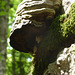 20150523 -25 Rando VTT La chapelle en Vercors (297) al