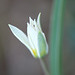 DSCF3784