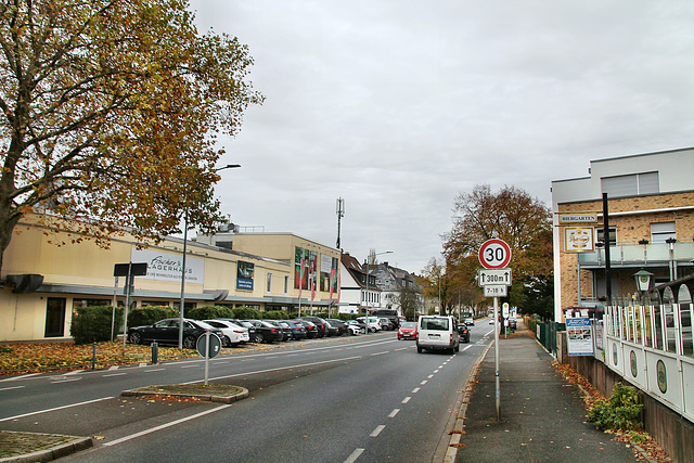 Wittener Straße (Witten-Herbede) / 6.11.2021