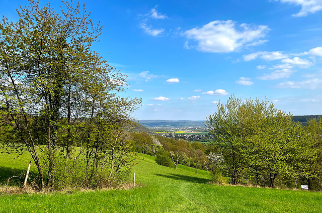 Frühling bei Lohrsdorf