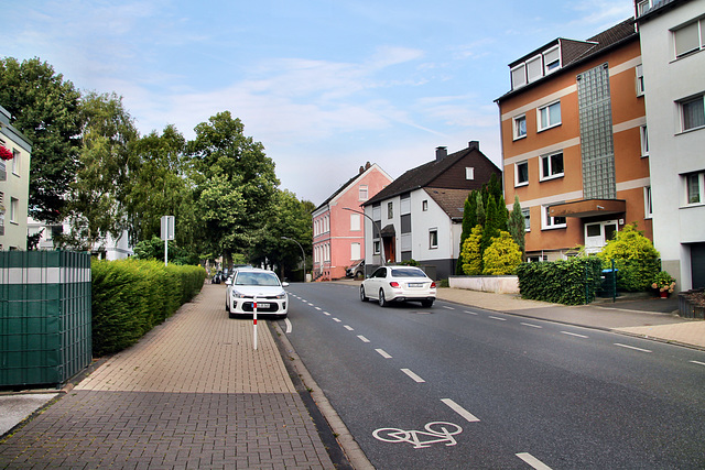 Cottenburgstraße (Castrop-Rauxel) / 3.08.2024