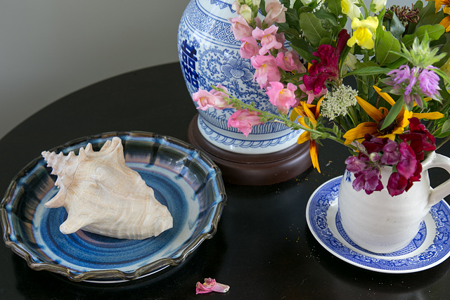 Maine still life