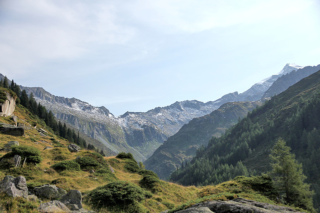 Blick von der Tauernalm hinüber zum Talschluss