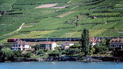 830000 Lavaux Re440