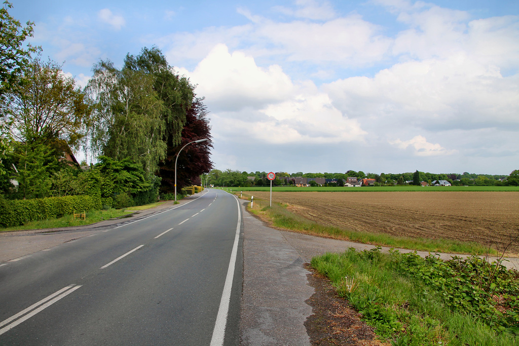 Scholvener Straße (Marl-Polsum) / 5.05.2019