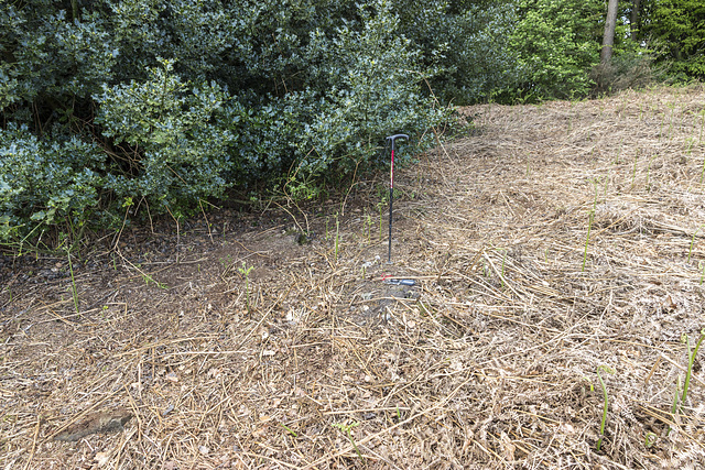 Bole Hill Plantation - 'holly smelter' slag tip 1