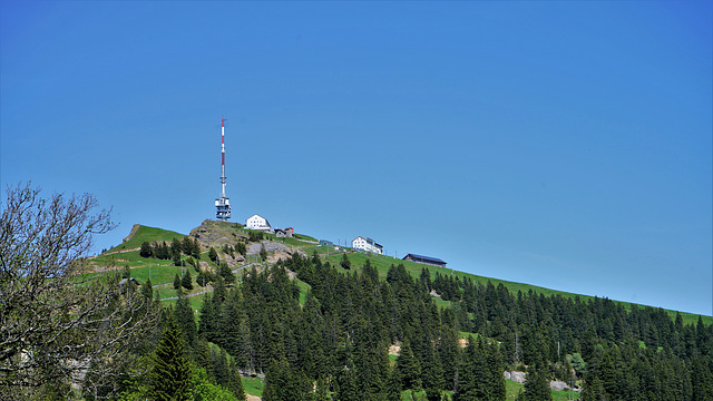 Rigi / 20.05.22      /  Der Rigi lohnt sich immer wieder, zurzeit mit erträglichem Besucherstrom!