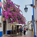 Obidos - Rua Direita um 09:30 (© Buelipix)
