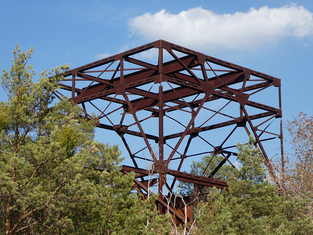 Baumwipfelpfad in Beelitz-Heilstätten