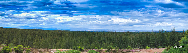 View north over the Moray Firth to the hills beyond.