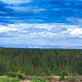 View north over the Moray Firth to the hills beyond.