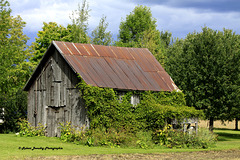 Vieux hangar