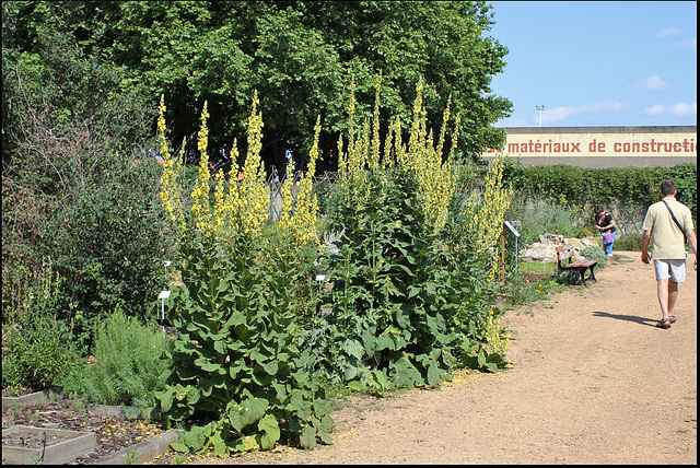 Jardin botanique de La Charme -63 (8)