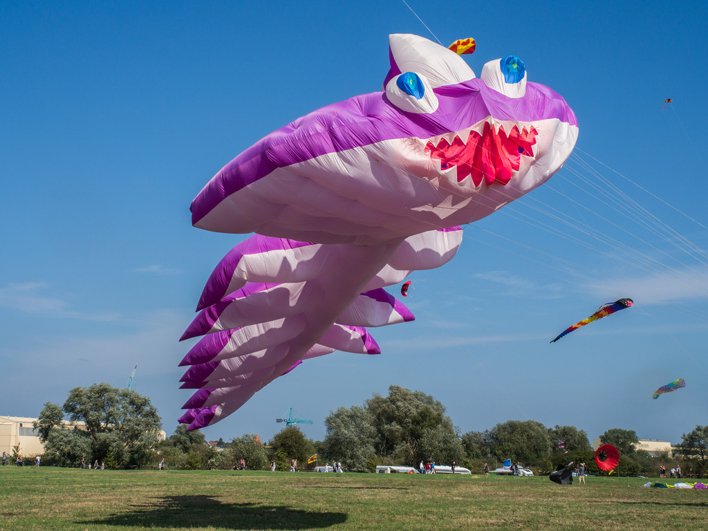 Drachenfest in Lemwerder