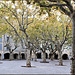 Uzès (30) 22 novembre 2013. La Place aux Herbes.