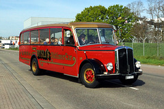 Omnibustreffen Sinsheim Speyer 2023 213