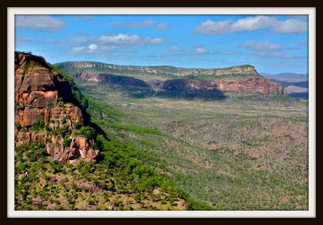 Nimbin Valley